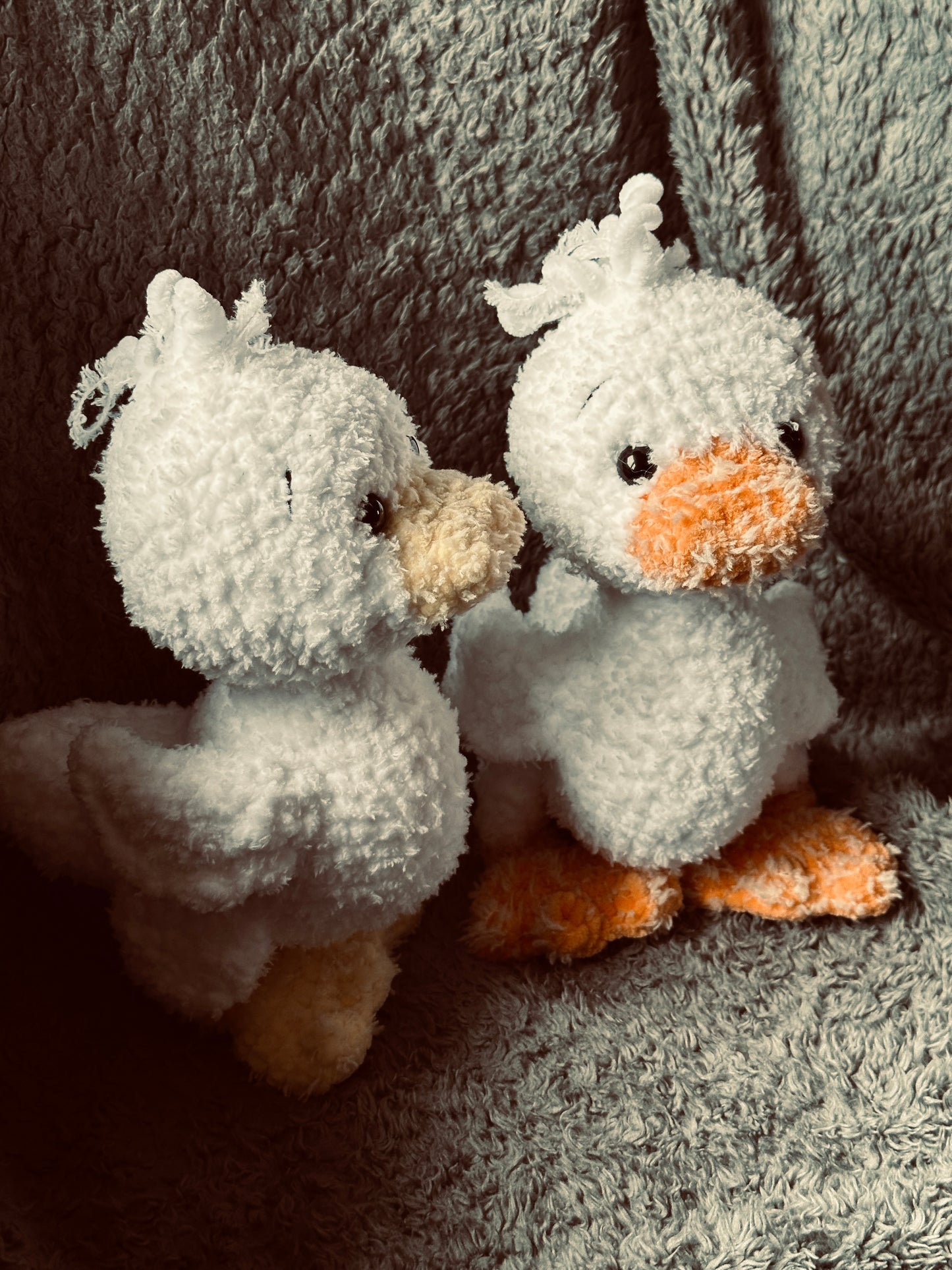 Ente Dion 🌼