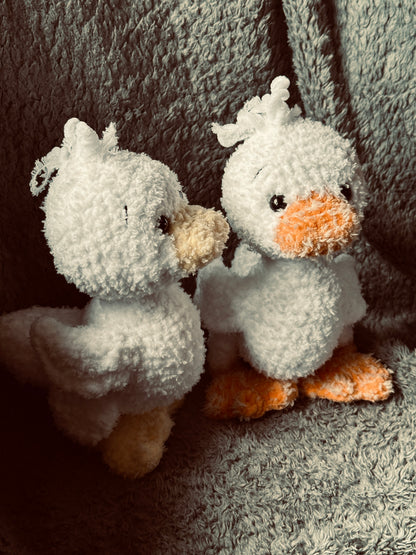 Ente Dion 🌼