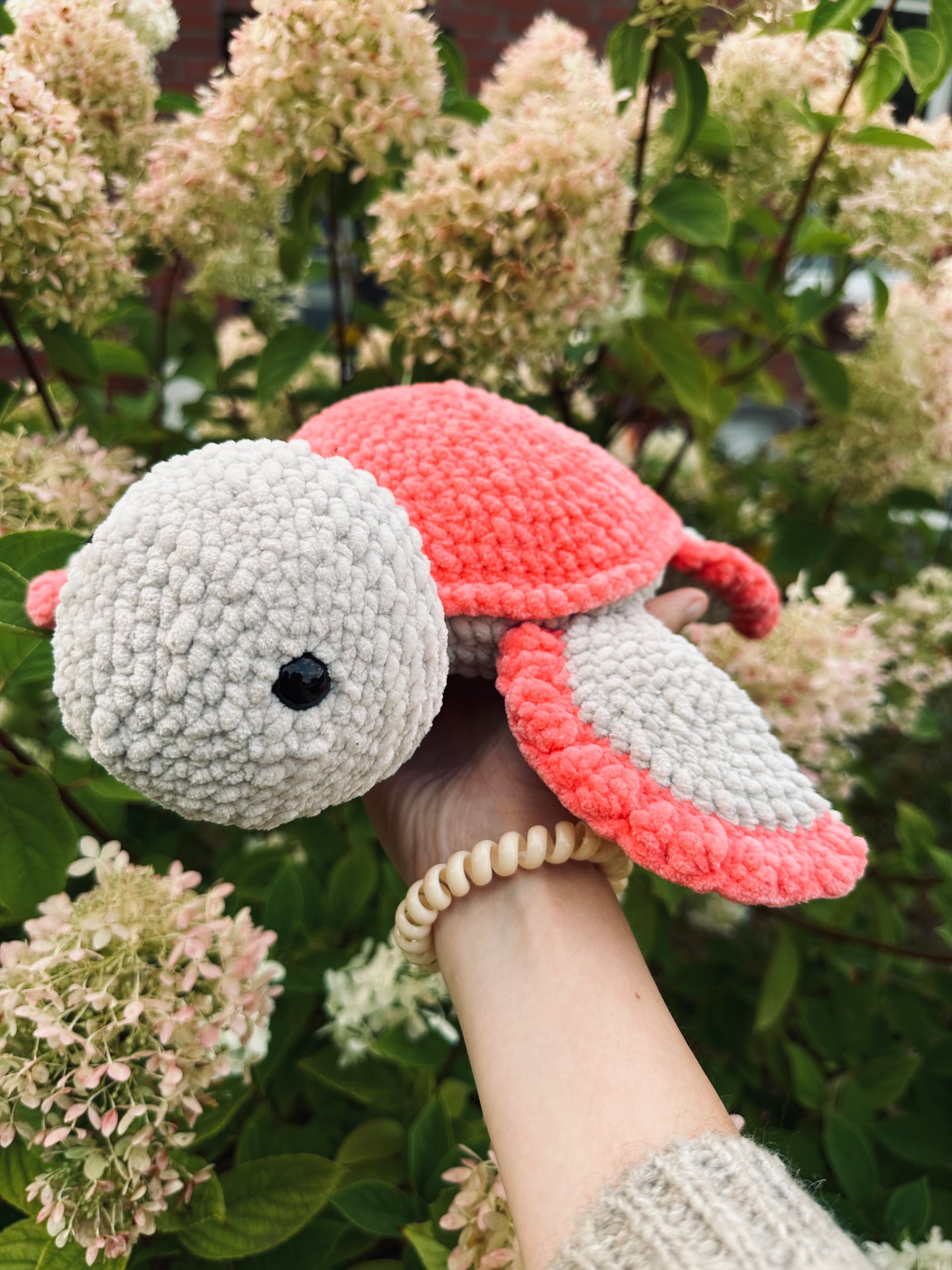 Susi große Schildkröte