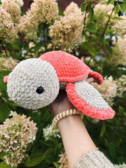 Susi große Schildkröte