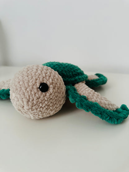 Theo mittlere Schildkröte