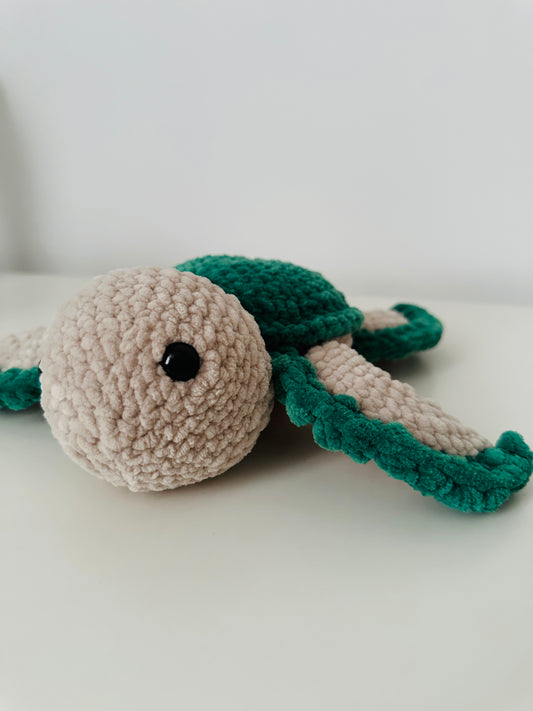 Theo mittlere Schildkröte