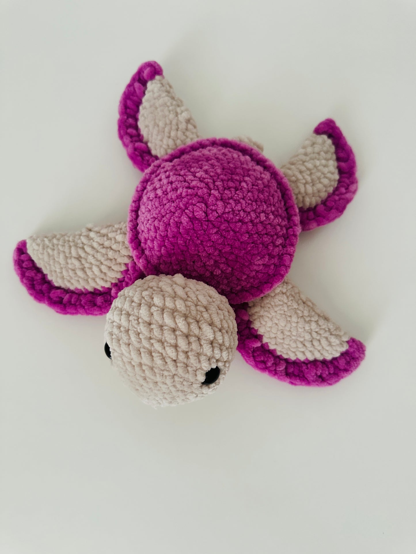 Luna kleine Schildkröte